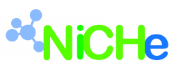 NiCHe LNG, LLC