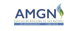 Asociación Mexicana de Gas Natural (AMGN)